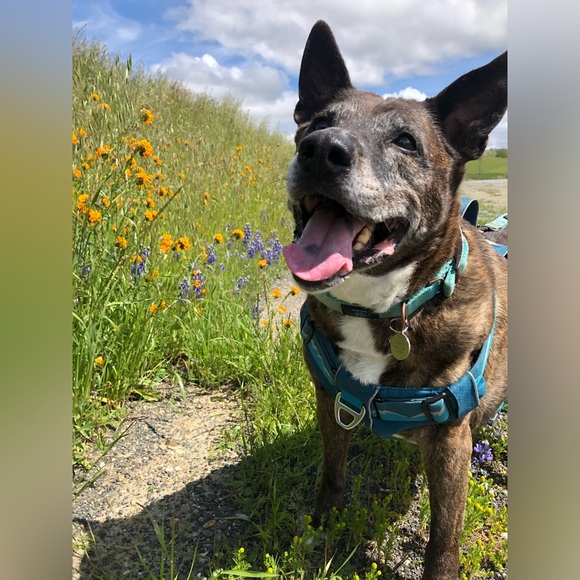 End of duty 6/12/24 - Picture 8 of 15